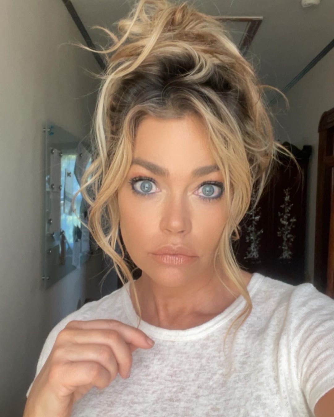 Denise Richards Net Worth