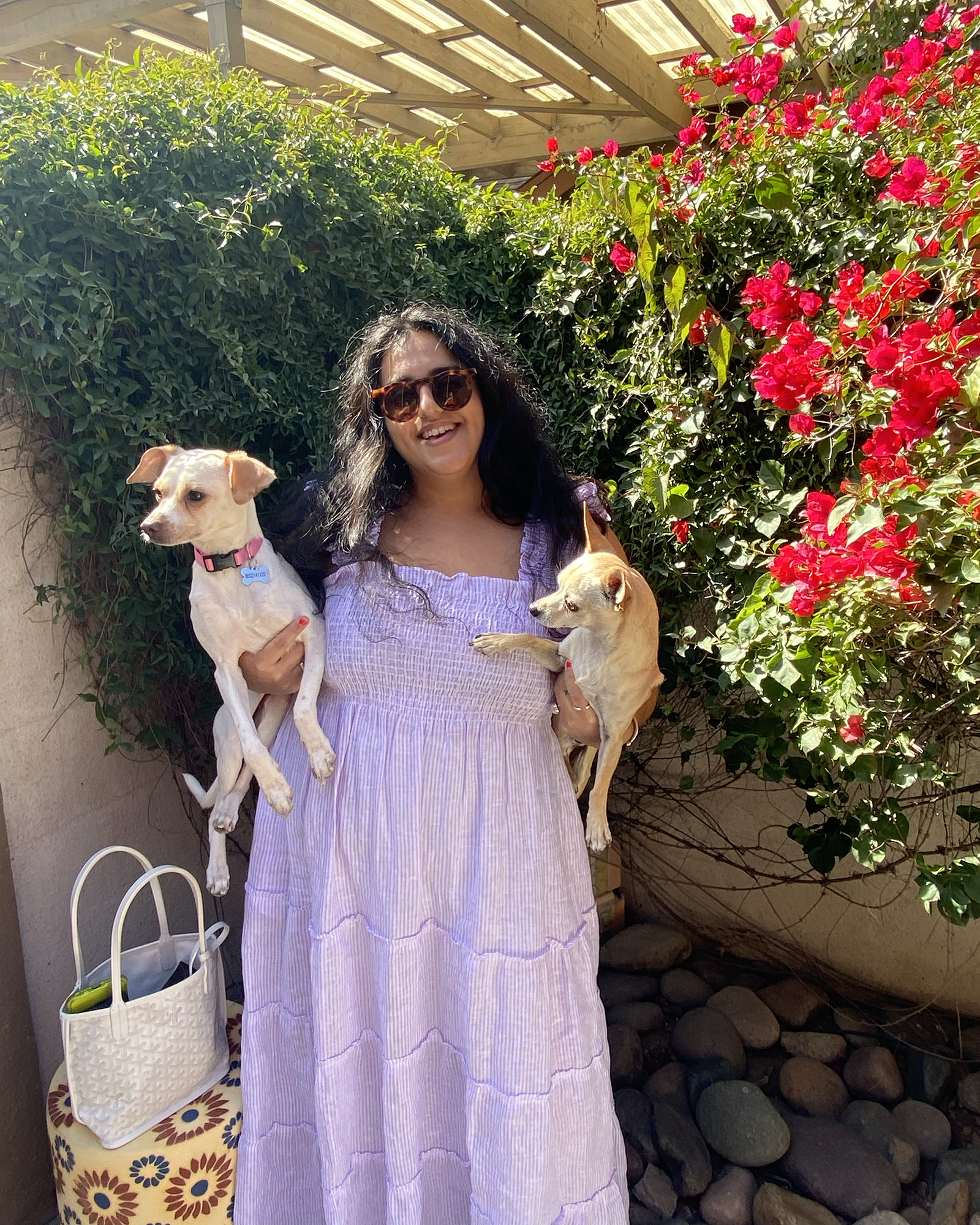 Michelle Moezam wearing a Nap Dress and holding two dogs